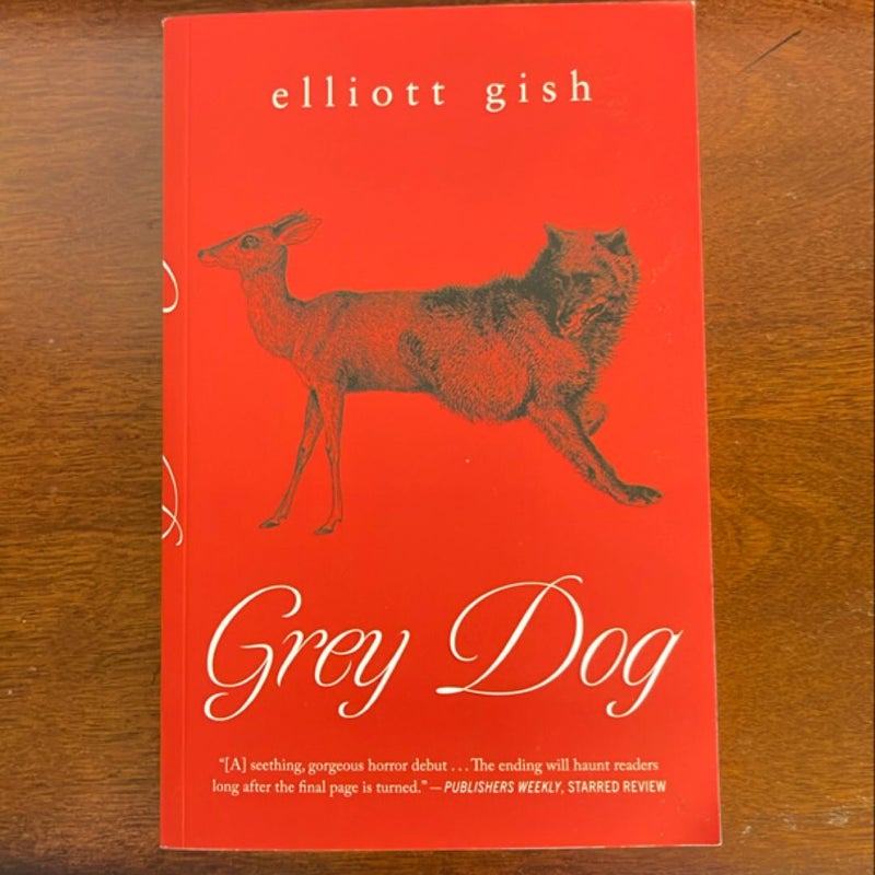 Grey Dog