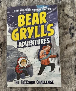 The Blizzard Challenge