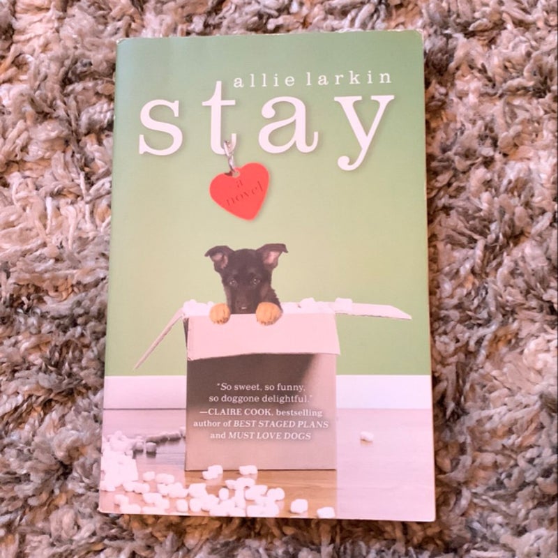 Stay