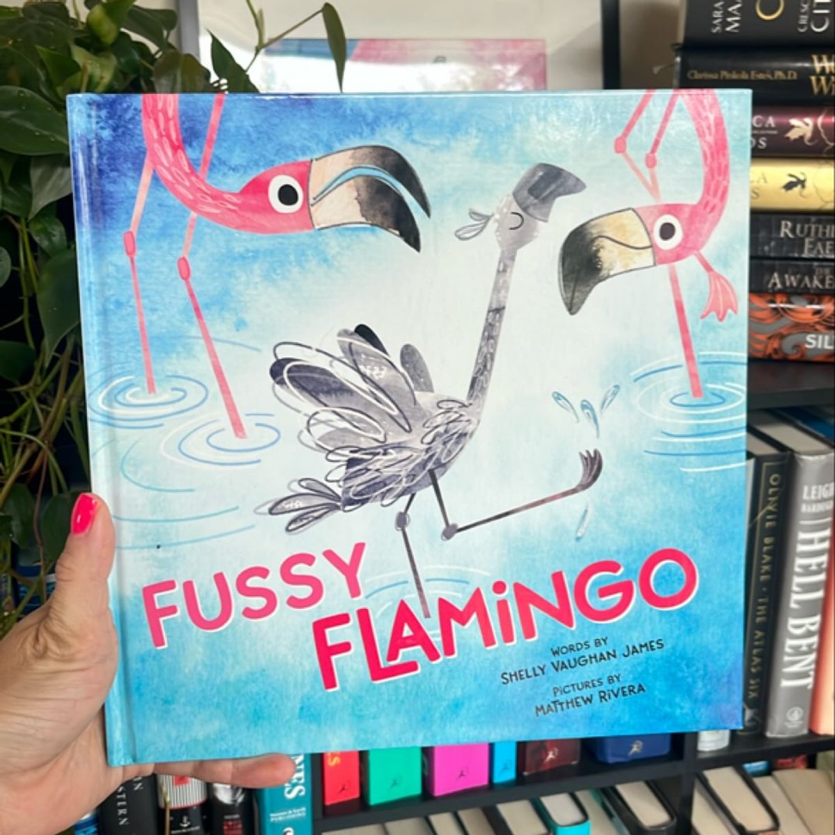 Fussy Flamingo by Shelly Vaughan James, Hardcover | Pangobooks