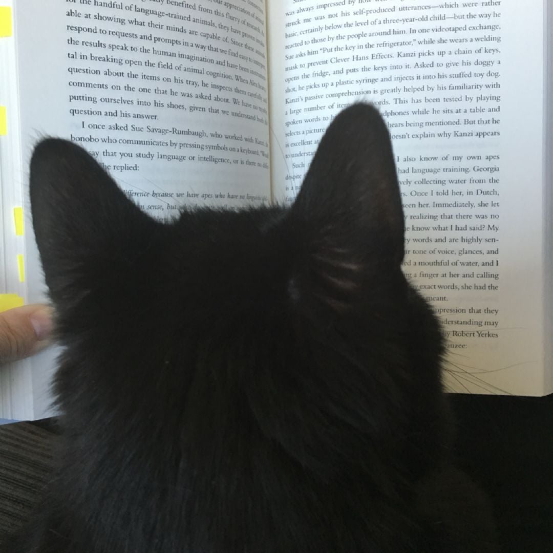 Mish Mash Books