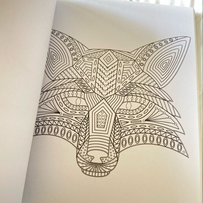 Whimsical Woodland Creatures: Coloring for Everyone