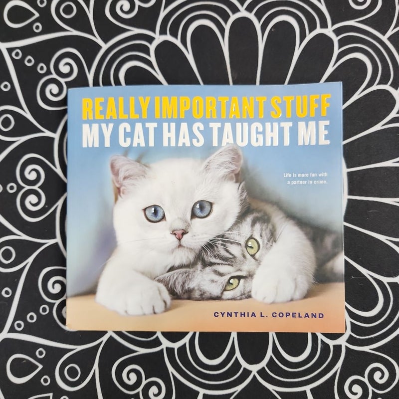 Really Important Stuff My Cat Has Taught Me
