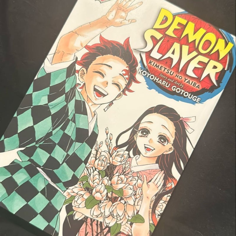 Demon Slayer: Kimetsu No Yaiba, Vol. 23