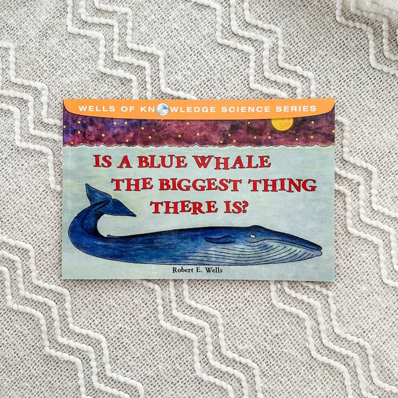 Is a Blue Whale the Biggest Thing There Is?