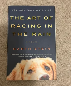 The Art of Racing in the Rain