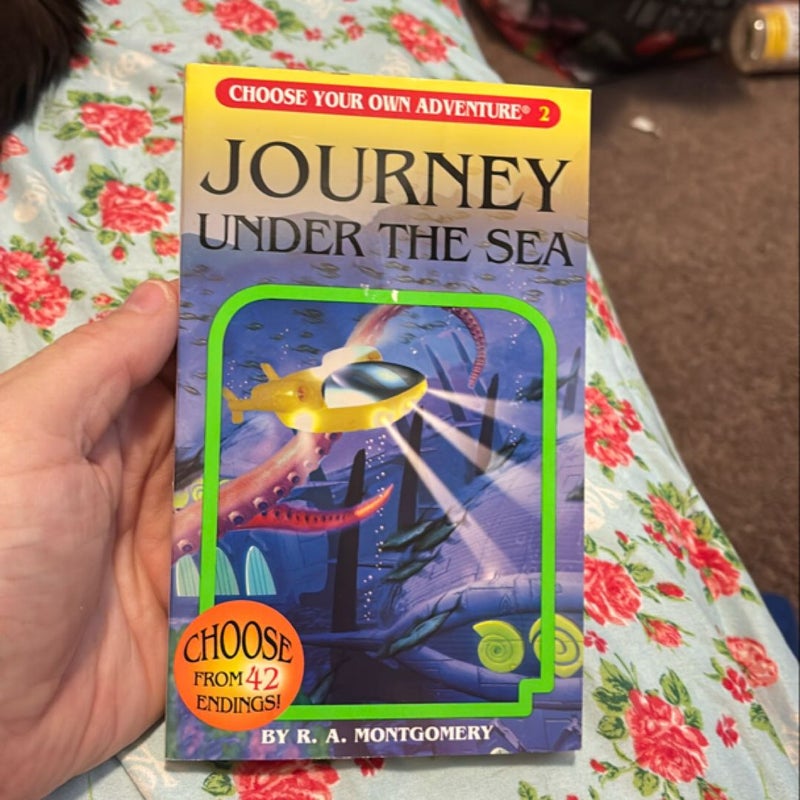 Choose Your  Own Adventure: Journey under the Sea