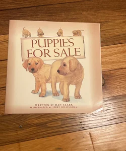 Puppies For Sale 