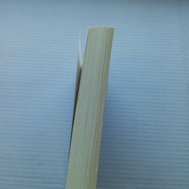 The Book Woman's Daughter