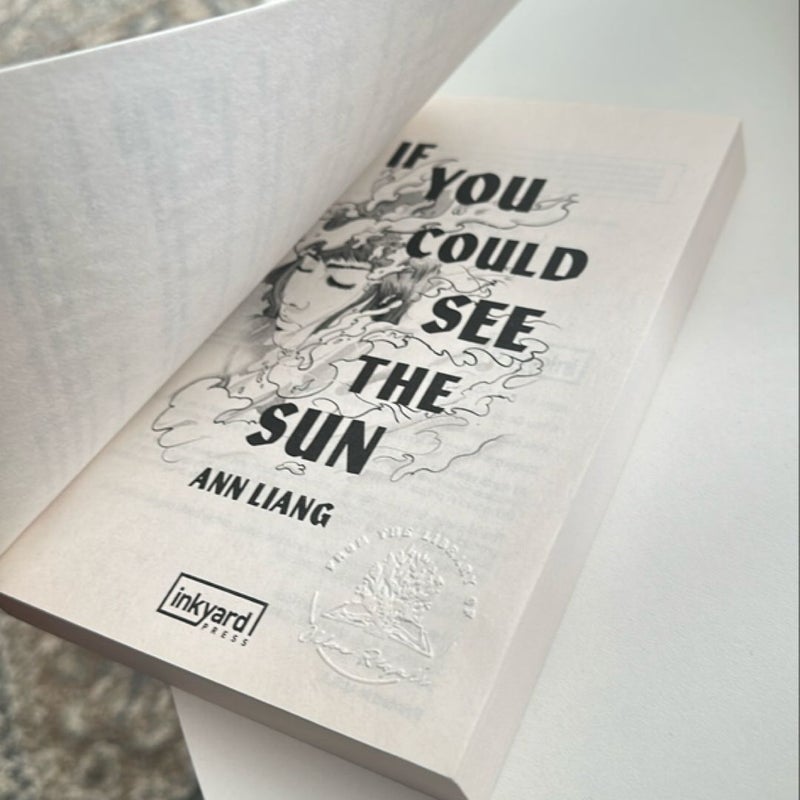 If You Could See the Sun *New paperback*