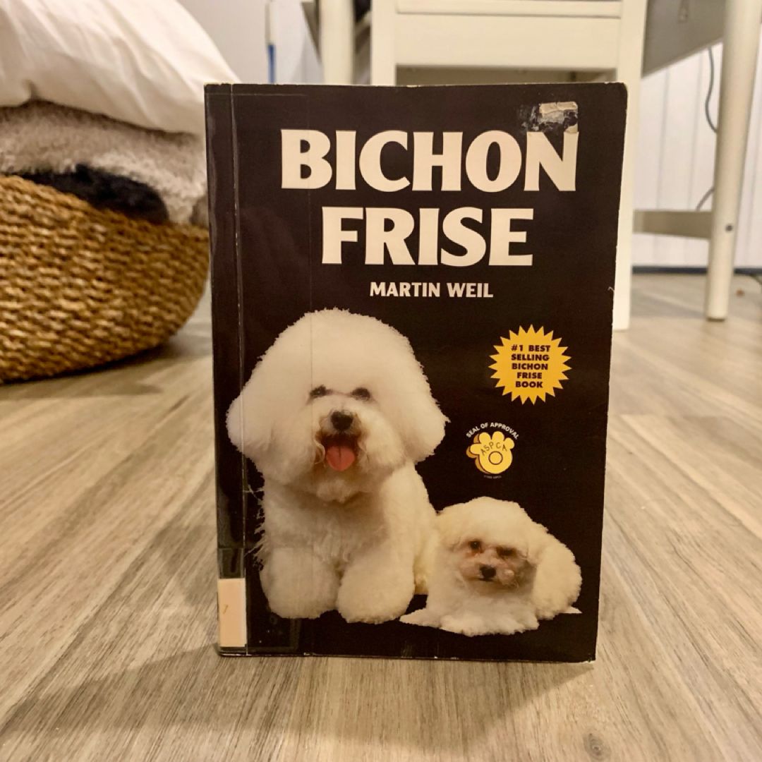 Bichon Frise