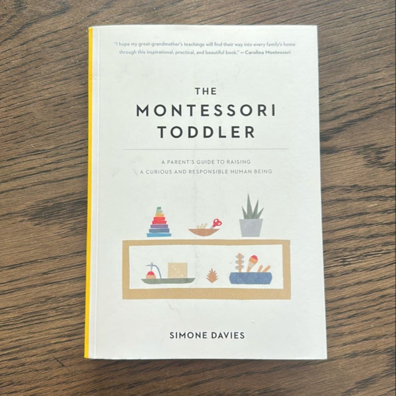 The Montessori Toddler
