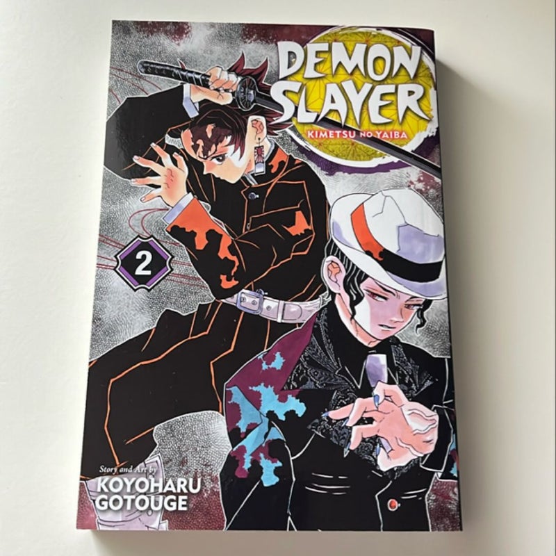 Demon Slayer: Kimetsu No Yaiba, Vol. 2