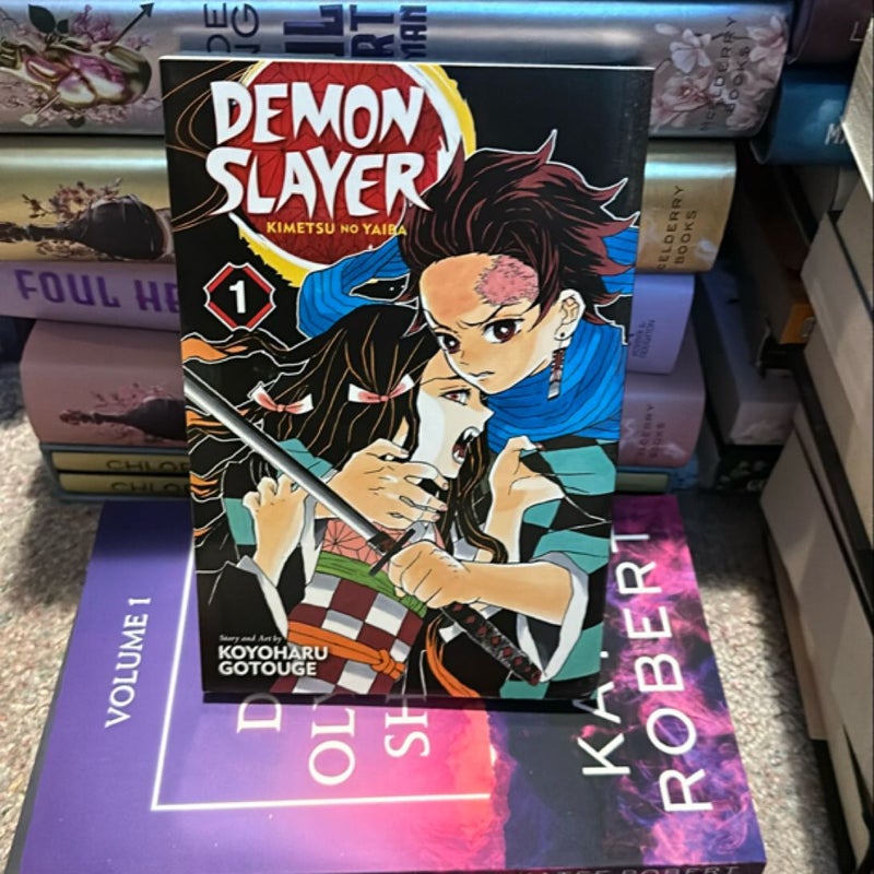 Demon Slayer: Kimetsu No Yaiba, Vol. 1