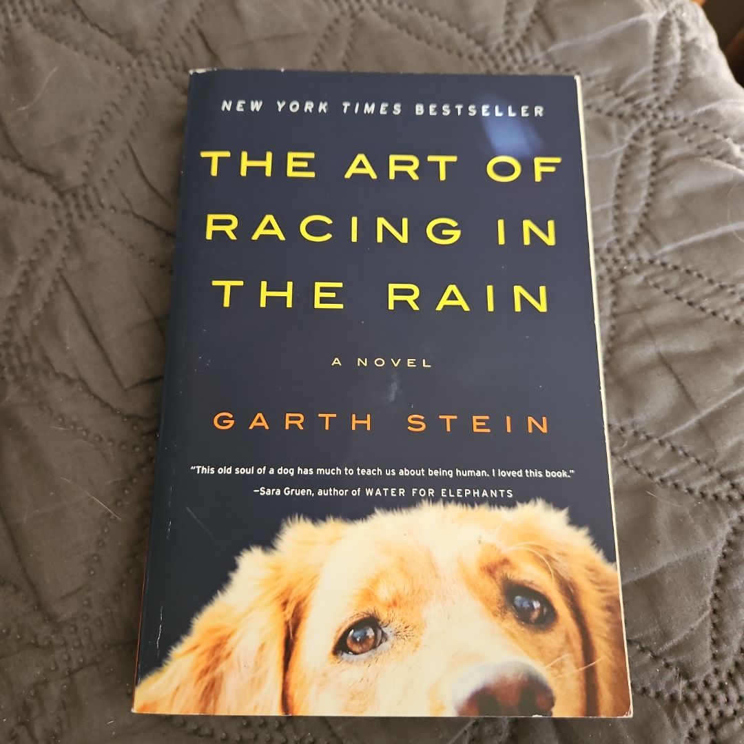 The Art of Racing in the Rain