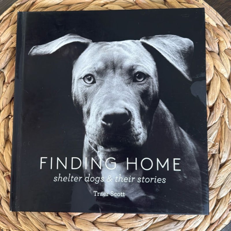 Finding Home: Shelter Dogs and Their Stories (a Photographic Tribute to Rescue Dogs)