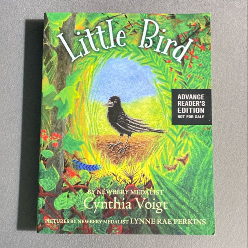 Little Bird (Advance Readers Edition)