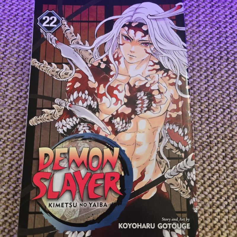 Demon Slayer: Kimetsu No Yaiba, Vol. 22