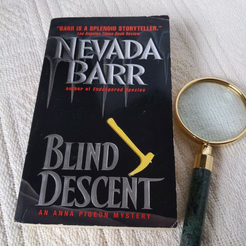 Blind Descent #6