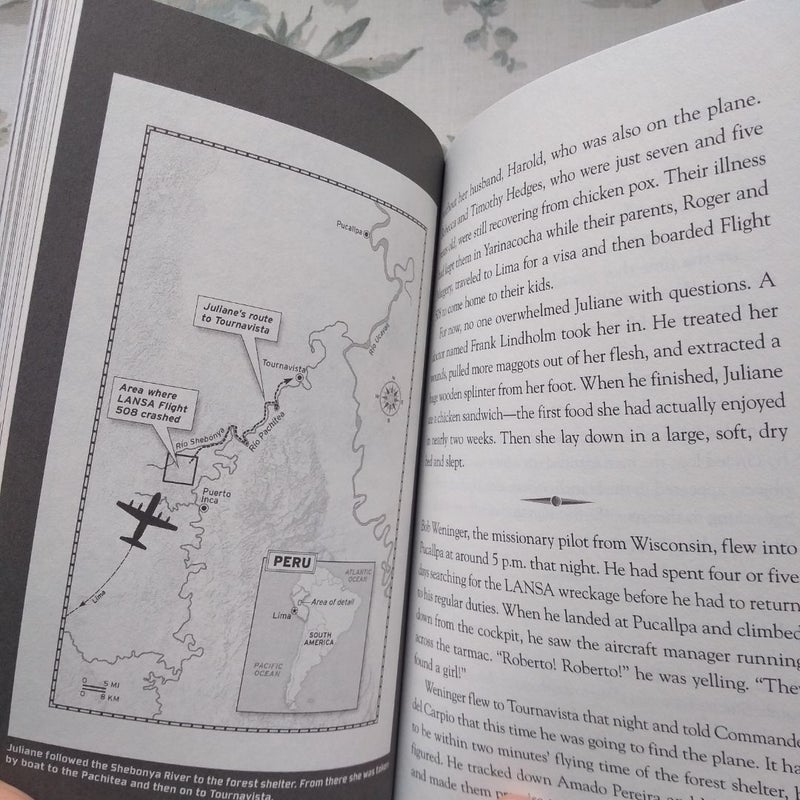 Lost in the Amazon (Lost #3)