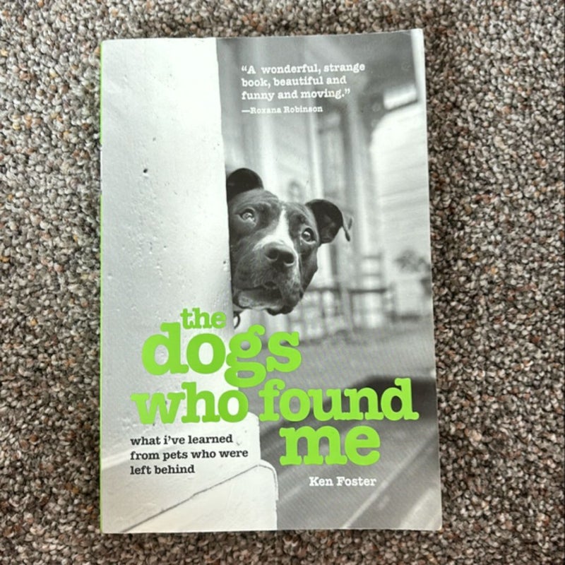 The Dogs Who Found Me