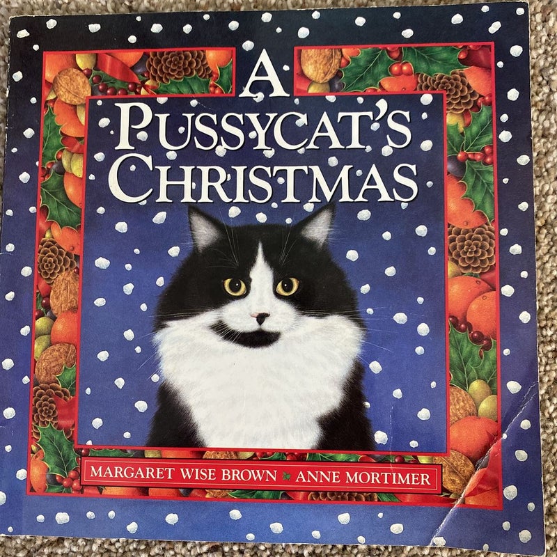 A pussycat’s Christmas