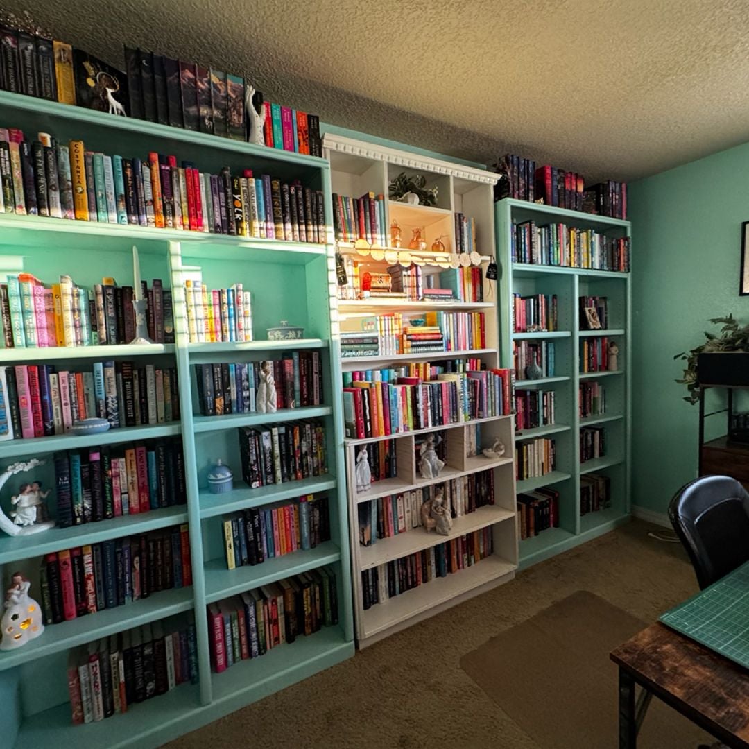 Another Book Lady