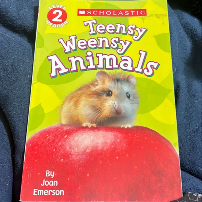 Scholastic Reader Level 2: Teensy Weensy Animals