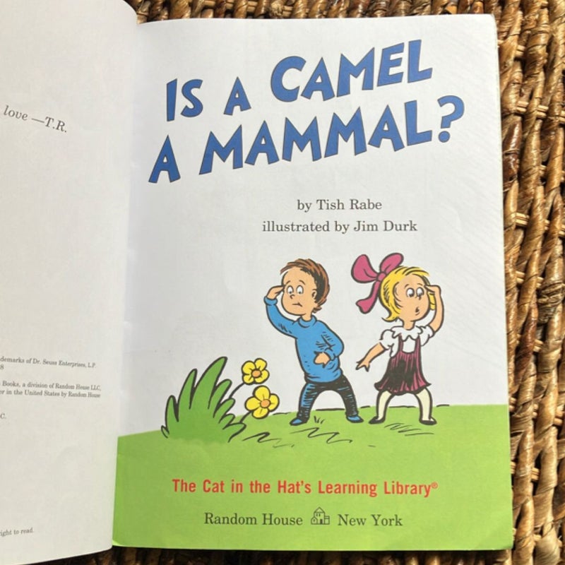 Is a Camel a Mammal?