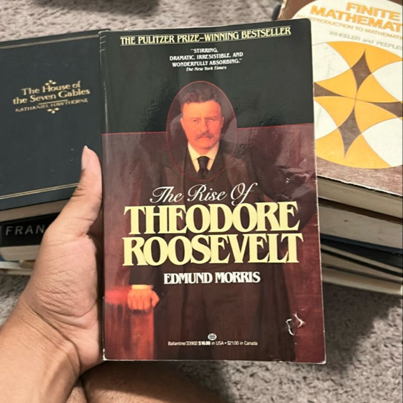 The Rise of Theodore Roosevelt