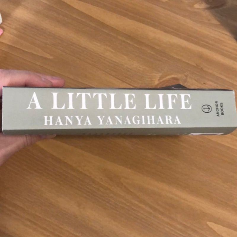 A Little Life