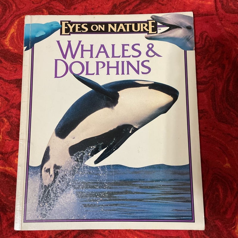 Whales & Dolphins