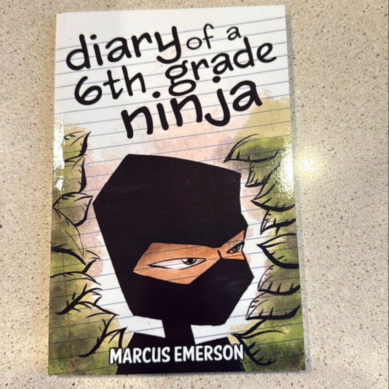 Diary of a 6th Grade Ninja