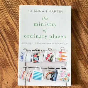 The Ministry of Ordinary Places