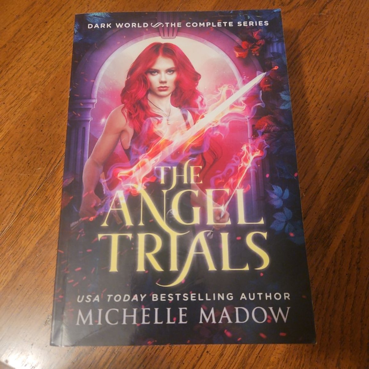The Angel Trials the Complete Series (Dark World) by Michelle