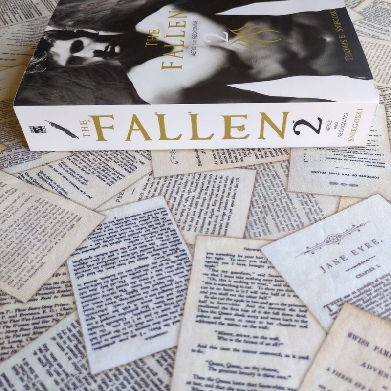 The Fallen 2 (Aerie and Recokoning)