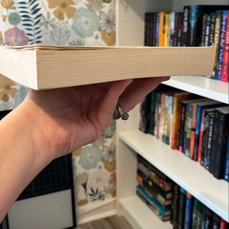 The Bookshop of Second Chances