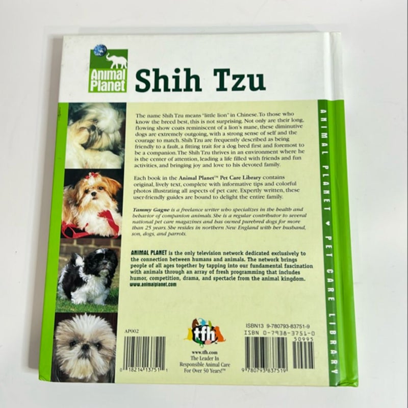 Shih Tzu