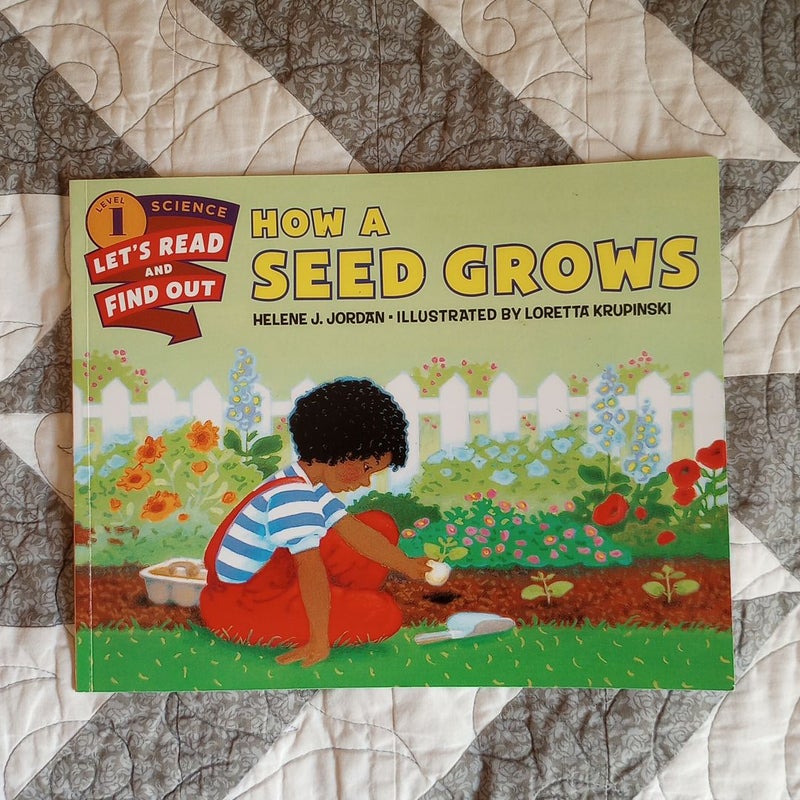 How a Seed Grows