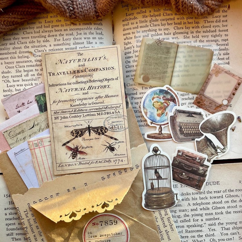 A Series of Unfortunate Events Package (two books and goodies)