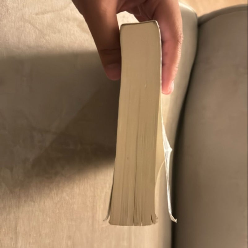Numbers: Their Tales,Types,and Treasures 