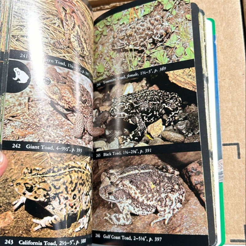 National Audubon Society Field Guide to Reptiles and Amphibians