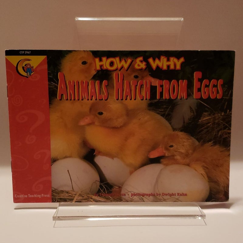 How and Why Animals Hatch from Eggs