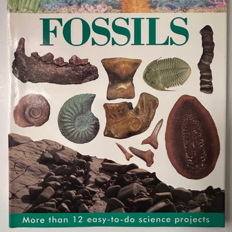 Fossils of the World