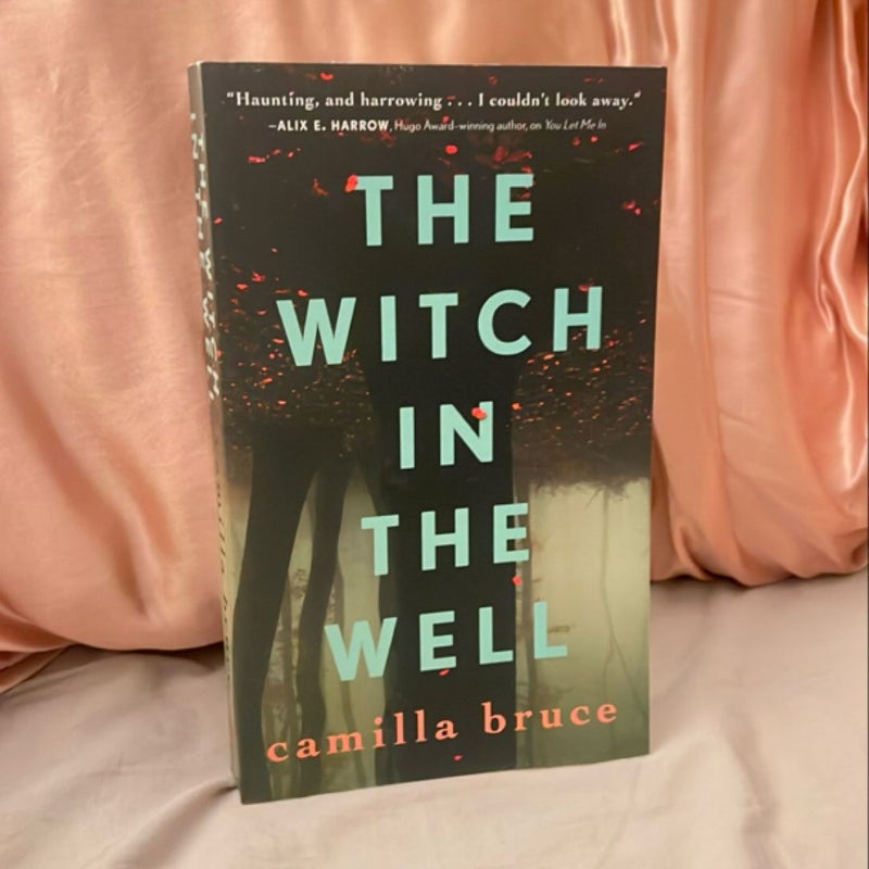 The Witch in the Well