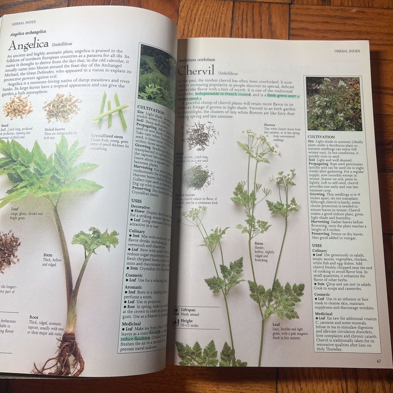 The Complete Book of Herbs