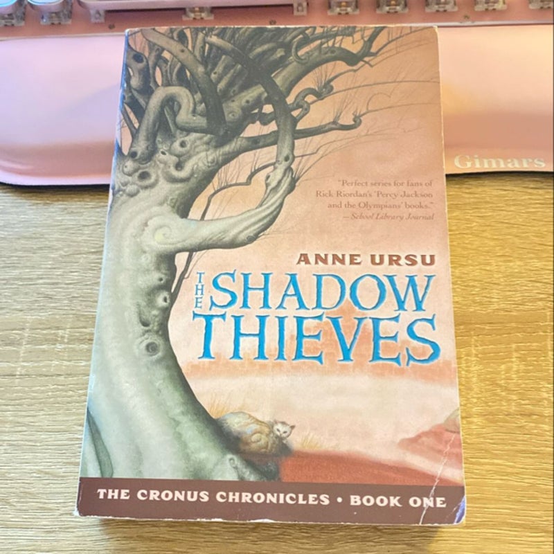 The Shadow Thieves