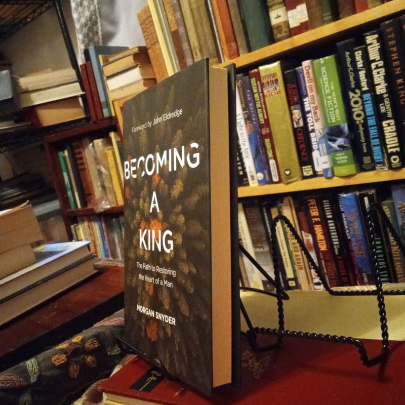 Becoming a king by morgan snyder hardcover pangobooks