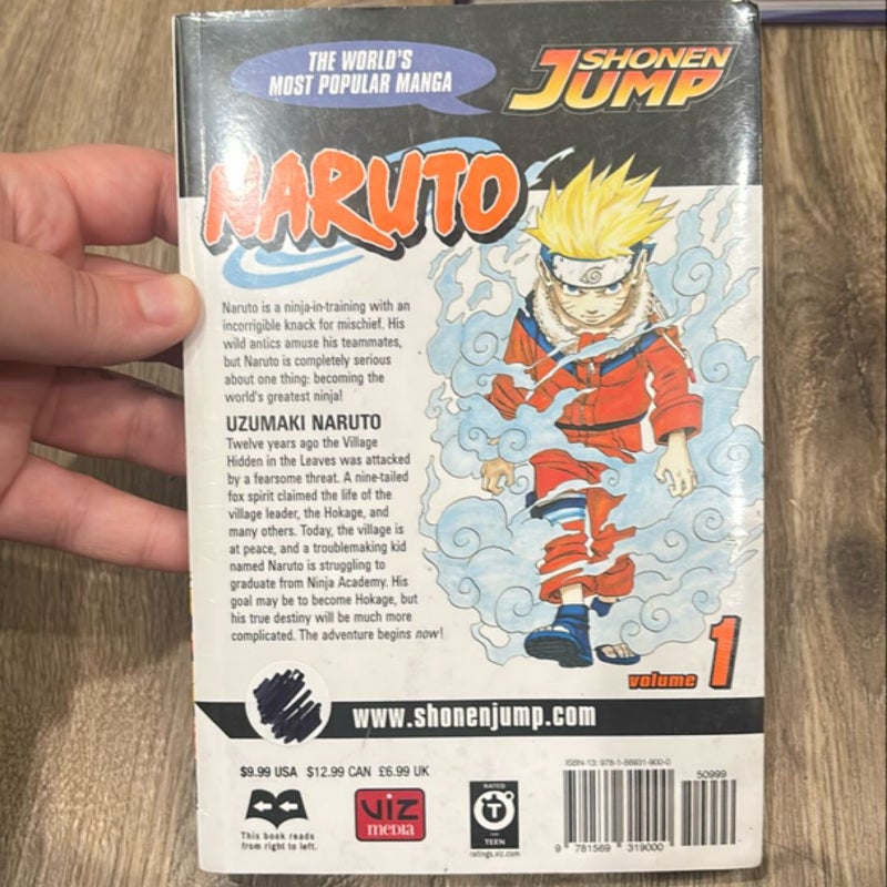 Naruto, Vol. 1