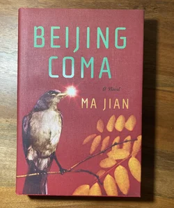 Beijing Coma